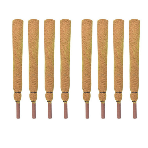 Coir Moss Stick for Creepers and climbing plants