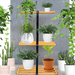 Tall Iron Plant Stand indoor