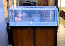 Sparkenzy Aquarium Stand with Wooden Cabinet | Fish Tank Stand Rack 2 Tier