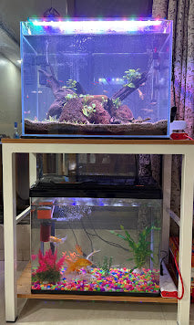 Sparkenzy Aquarium Stand with Wooden Cabinet | Fish Tank Stand Rack 2 Tier