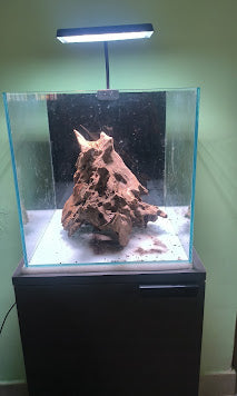 Sparkenzy Aquarium Stand with Wooden Cabinet | Fish Tank Stand Rack 2 Tier