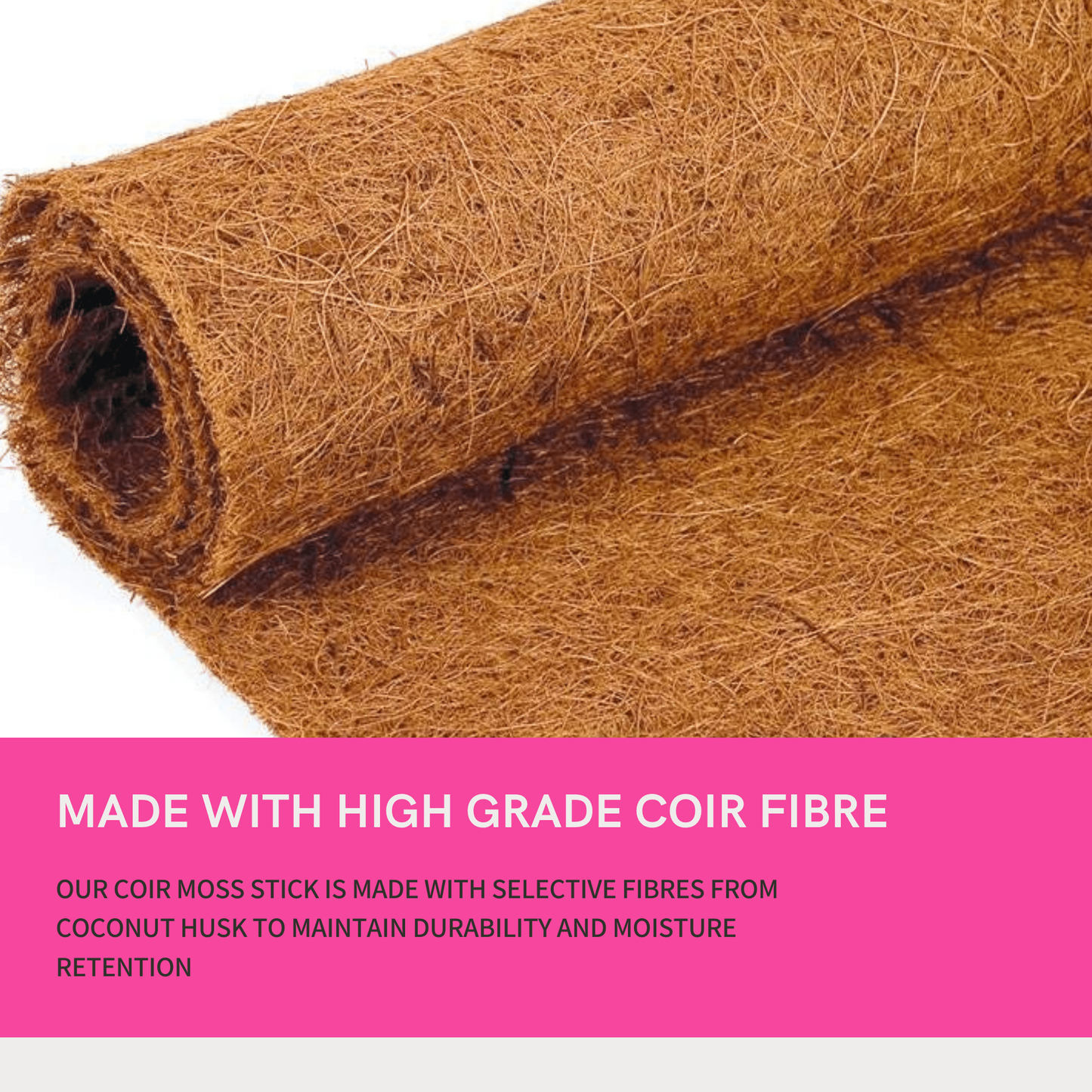 Moss Stick for money plants | Finest coir | 60% Offer