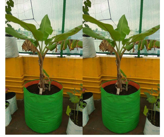 Sparkenzy all Size Terrace Gardening grow bags for plants, Fruits, Banana, potato, mushroom | 24 X 24 (Pack of 2)