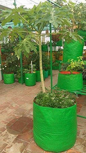 Sparkenzy Big Size Terrace Gardening Grow Bag for Fruits, Banana, 24" X 24" (Pack of 1)