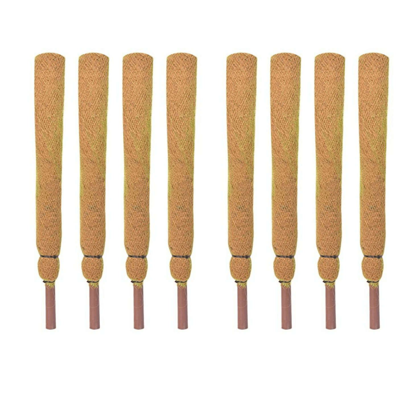 Moss Stick for money plants | Finest coir | 60% Offer