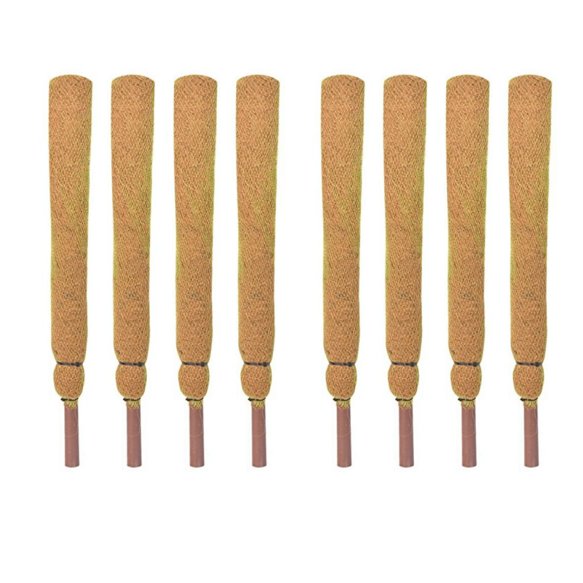 Moss Stick for money plants | Finest coir | 60% Offer