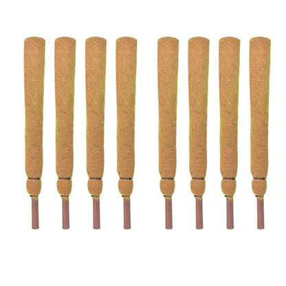 Moss Stick for money plants | Finest coir | 60% Offer
