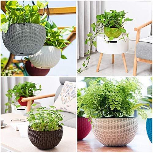 Sparkenzy Euro Color Hanging Basket | Virgin Plastic | Metal chain