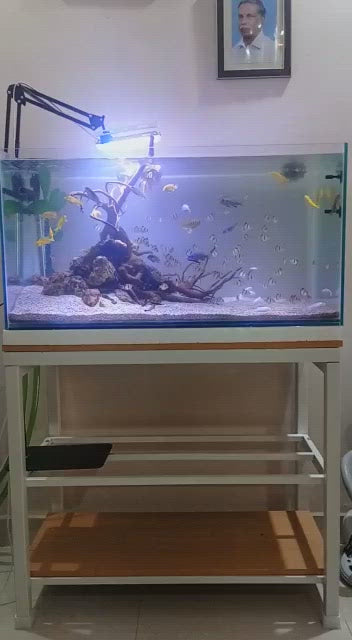 Sparkenzy Aquarium Stand | Fish Tank Stand 3 Tier with wooden base