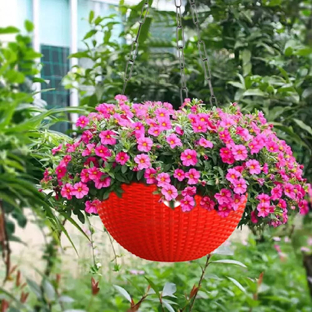 Sparkenzy Euro Color Hanging Basket | Virgin Plastic | Metal chain