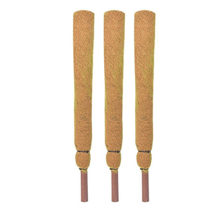 Moss Stick for money plants | Finest coir | 60% Offer